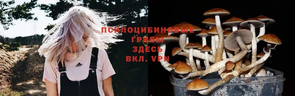 герыч Балахна