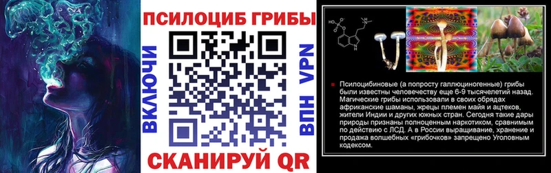 дарнет шоп  KRAKEN ССЫЛКА  Галлюциногенные грибы Psilocybe  Балей 