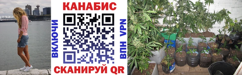 Конопля гибрид  гидра как войти  Балей 